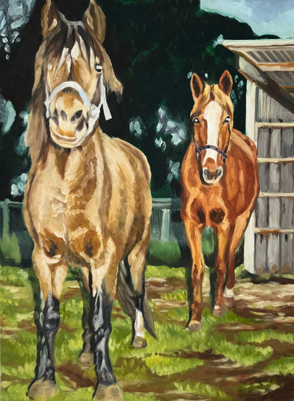 Horses at Edgar's Mission