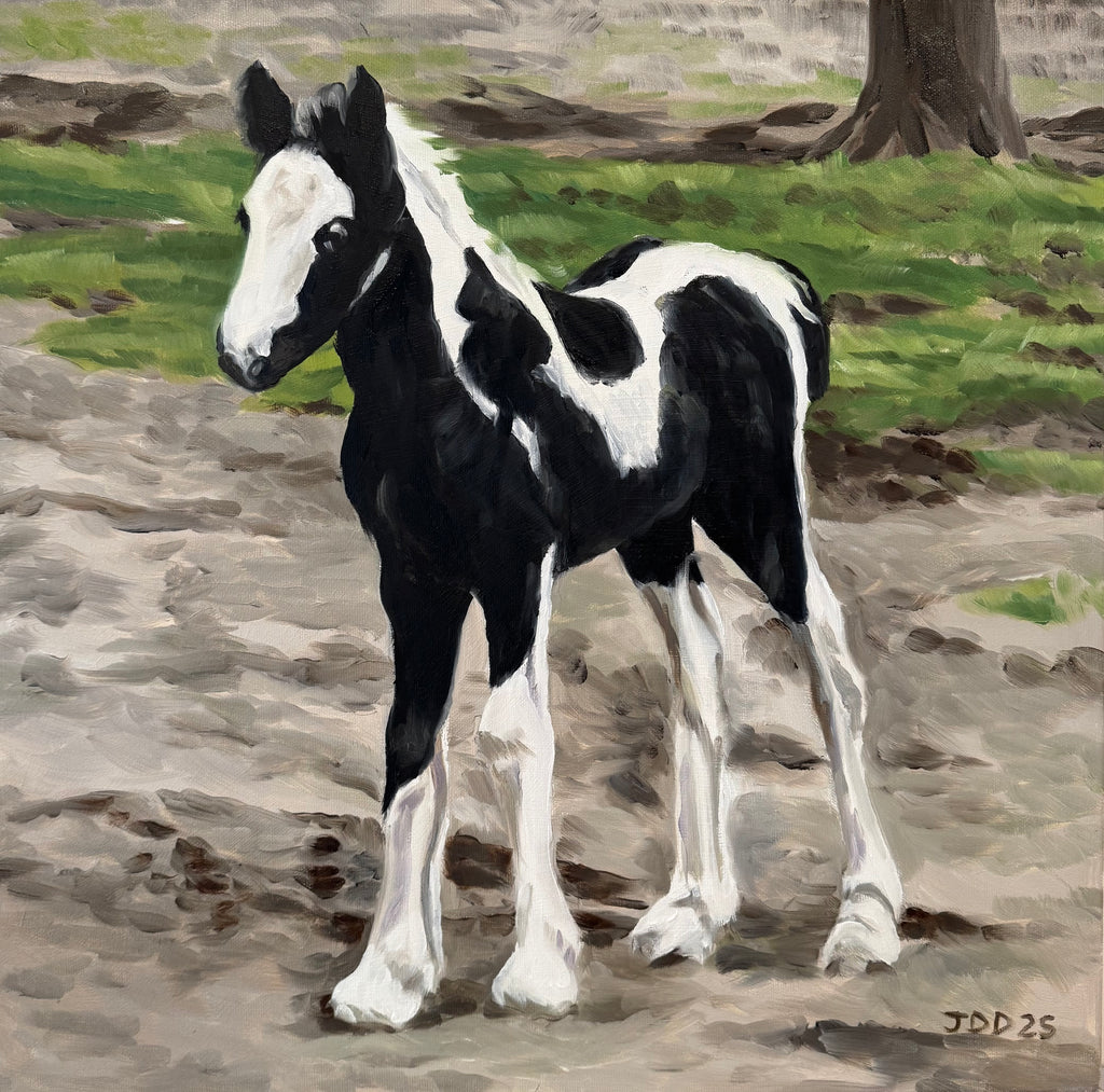 Foal