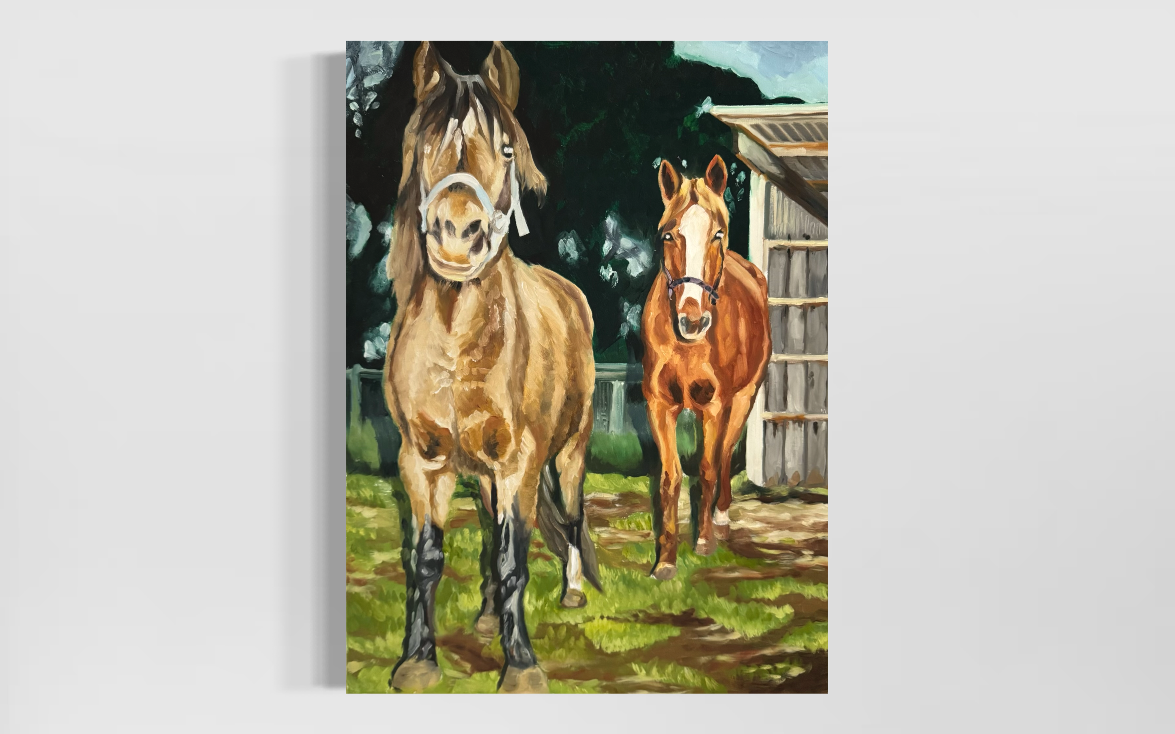 Horses at Edgar's Mission